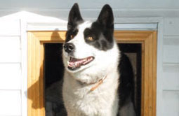 Story 5 - 151014 Crowsnest Pass Herald