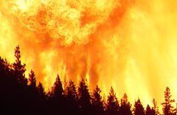 Story 5 - 151216 Crowsnest Pass Herald
