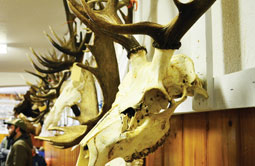 Story 1 - 170208 Crowsnest Pass Herald