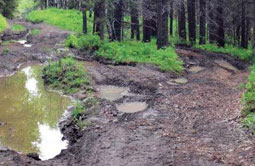 Story 3 - 170215 Crowsnest Pass Herald