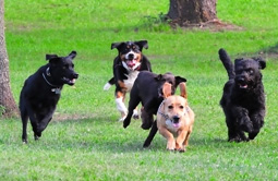 Story 1 - 170719 Crowsnest Pass Herald