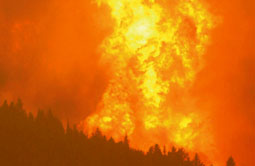 Story 5 - 170719 Crowsnest Pass Herald