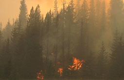 Story 4 - 170802 Crowsnest Pass Herald