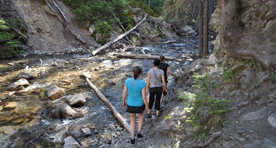 Crowsnest Pass Herald Front Page