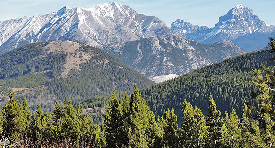 Crowsnest Pass Herald Front Page