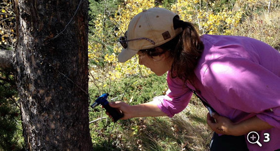 Crowsnest Pass Herald Front Page