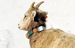 Story 3 - 180314 Crowsnest Pass Herald