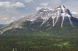 Story 3 - 180829 Crowsnest Pass Herald