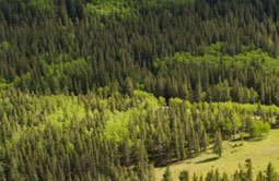 Story 2 - 190508 Crowsnest Pass Herald