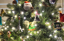 Story 3 - 201125 Crowsnest Pass Herald