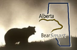 Story 2 - 141105 Crowsnest Pass Herald