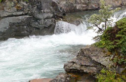 Story 3 - 151021 Crowsnest Pass Herald