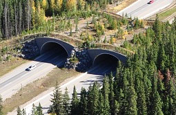 Story 1 - 141022 Crowsnest Pass Herald
