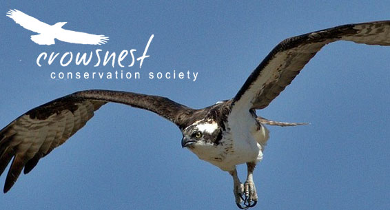 Crowsnest Pass Herald Front Page