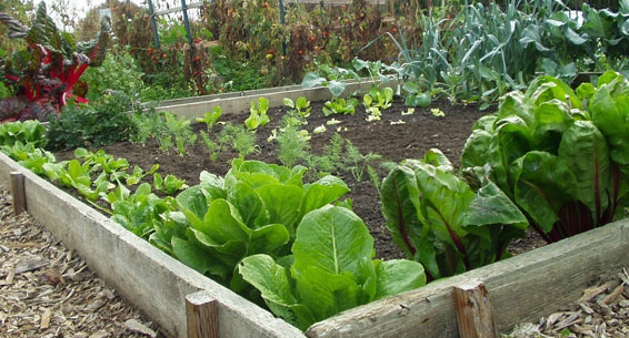 Crowsnest Pass Herald Front Page