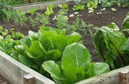 Story 4 - 170705 Crowsnest Pass Herald