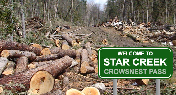 Crowsnest Pass Herald Front Page